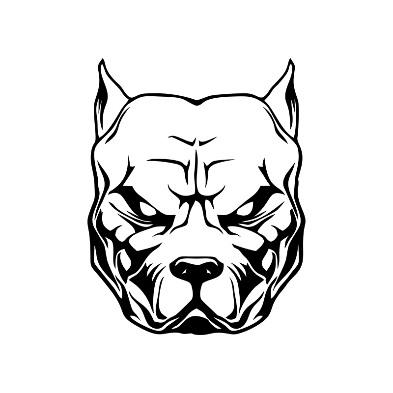 Adesivo moto modello cane pit  - Motorcycle Gear Pattern review and price