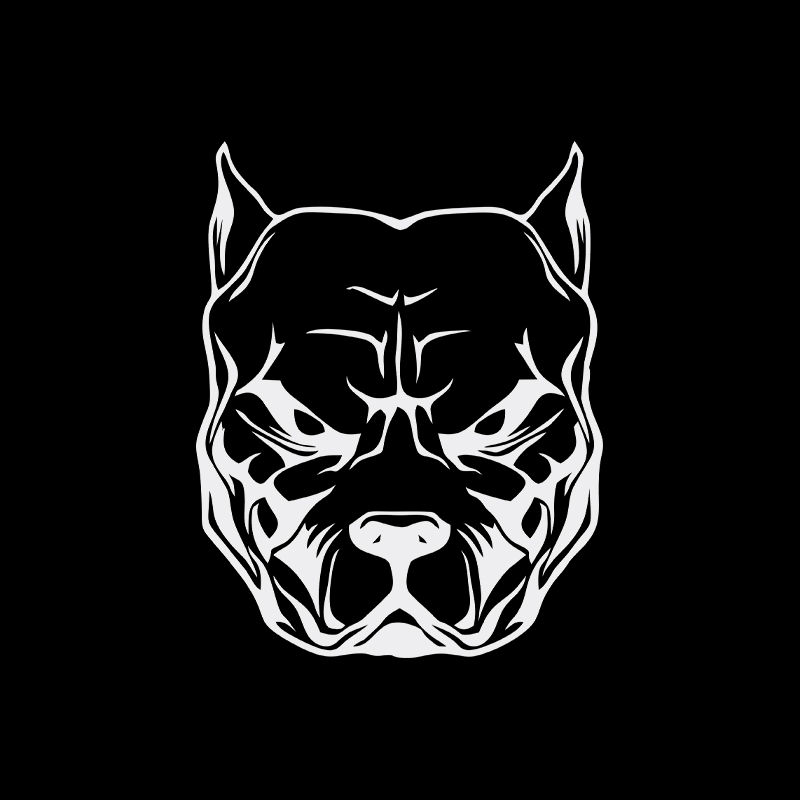 Adesivo moto modello cane pit  - Motorcycle Gear Pattern review and price